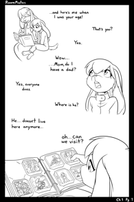 Room Mates