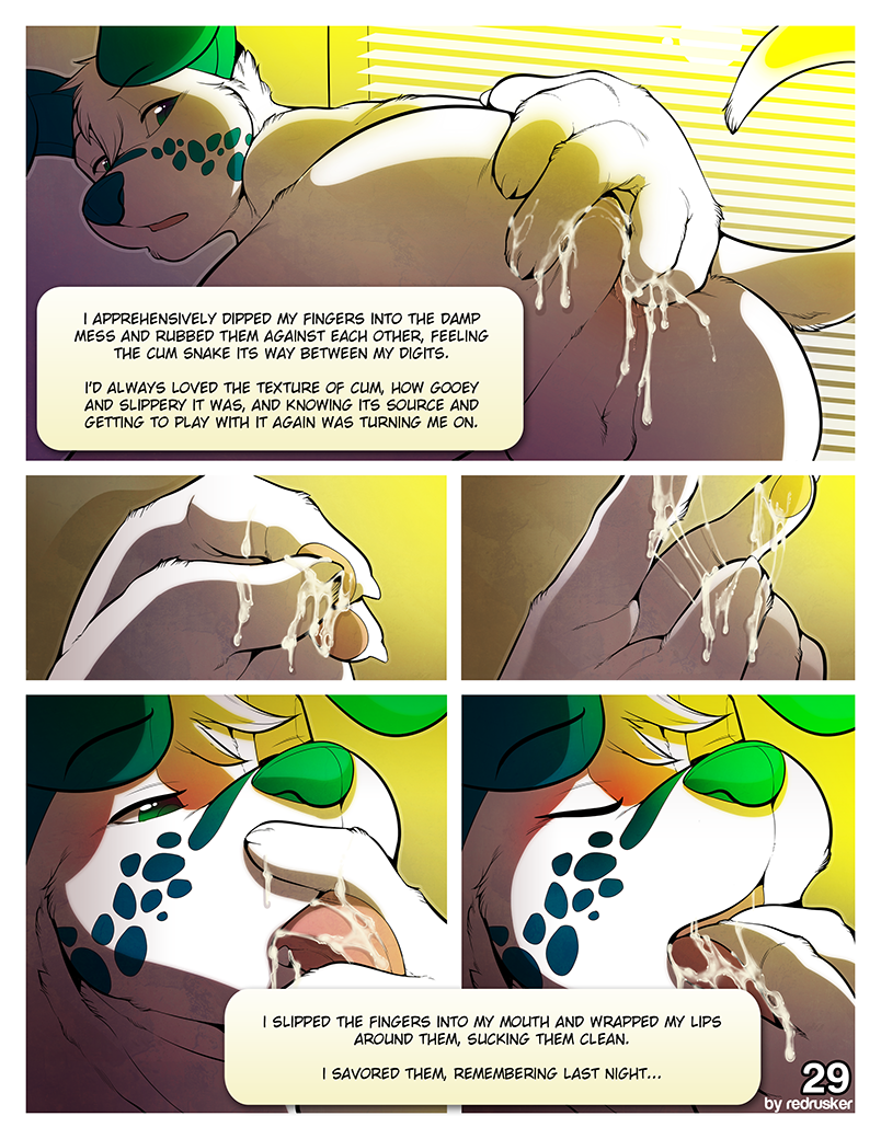 Page 29