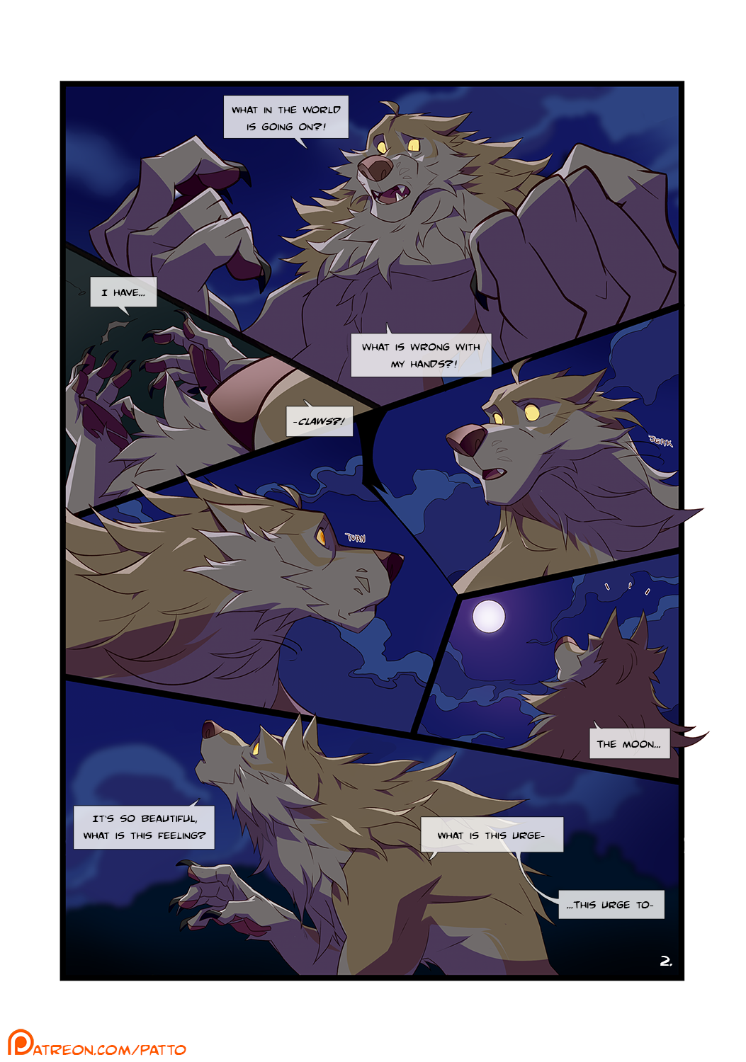 Page 3
