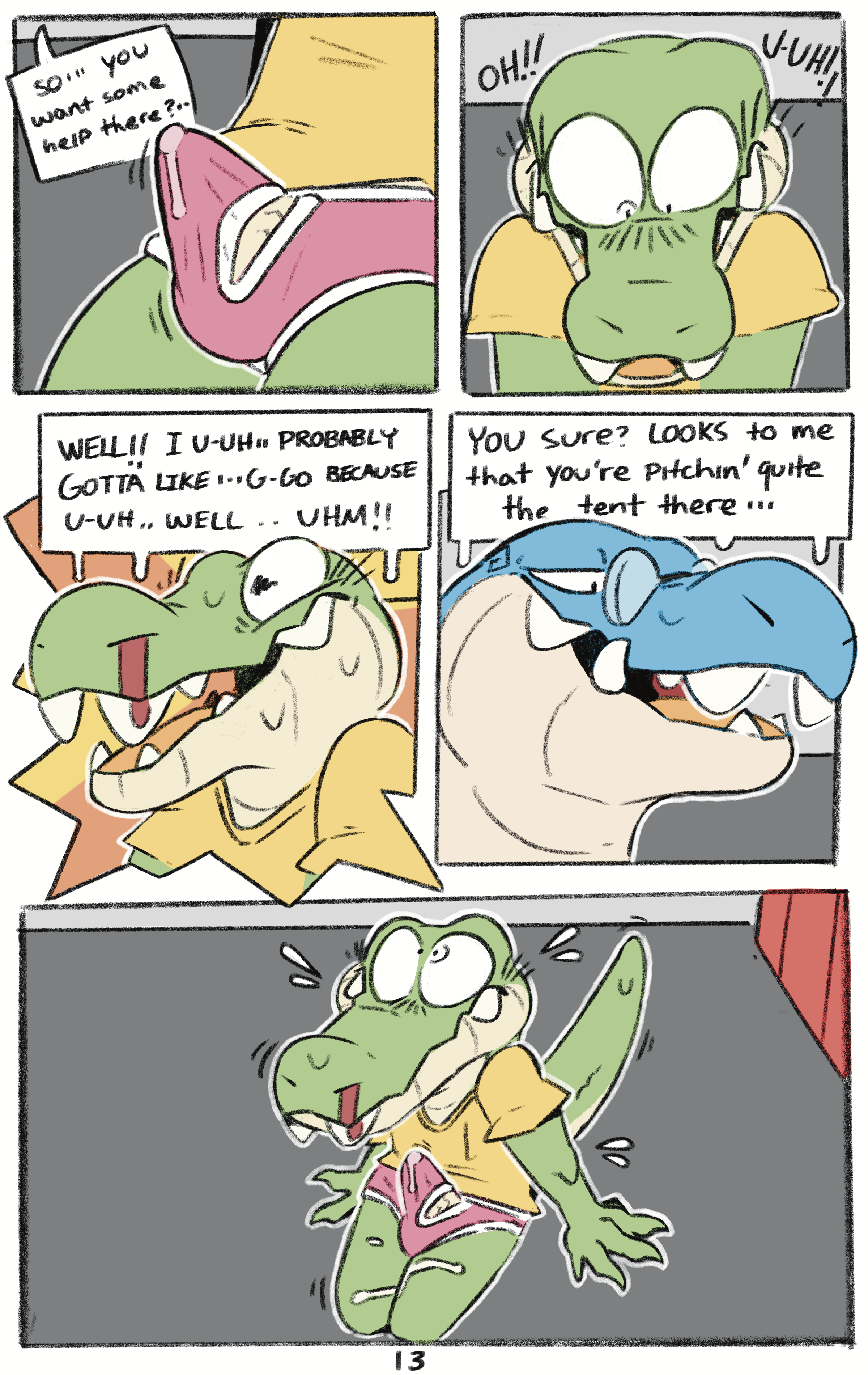 Page 13