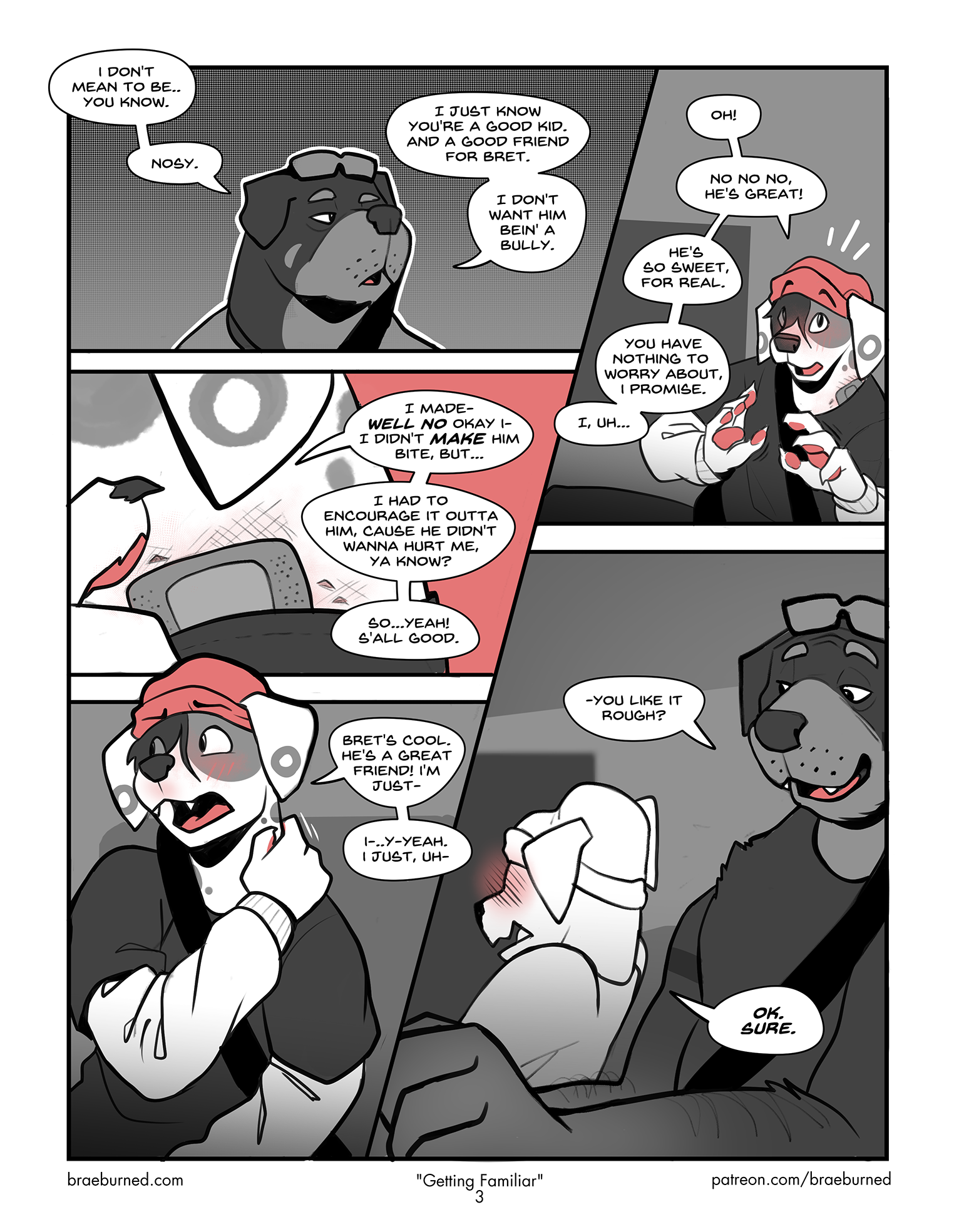 Page 3
