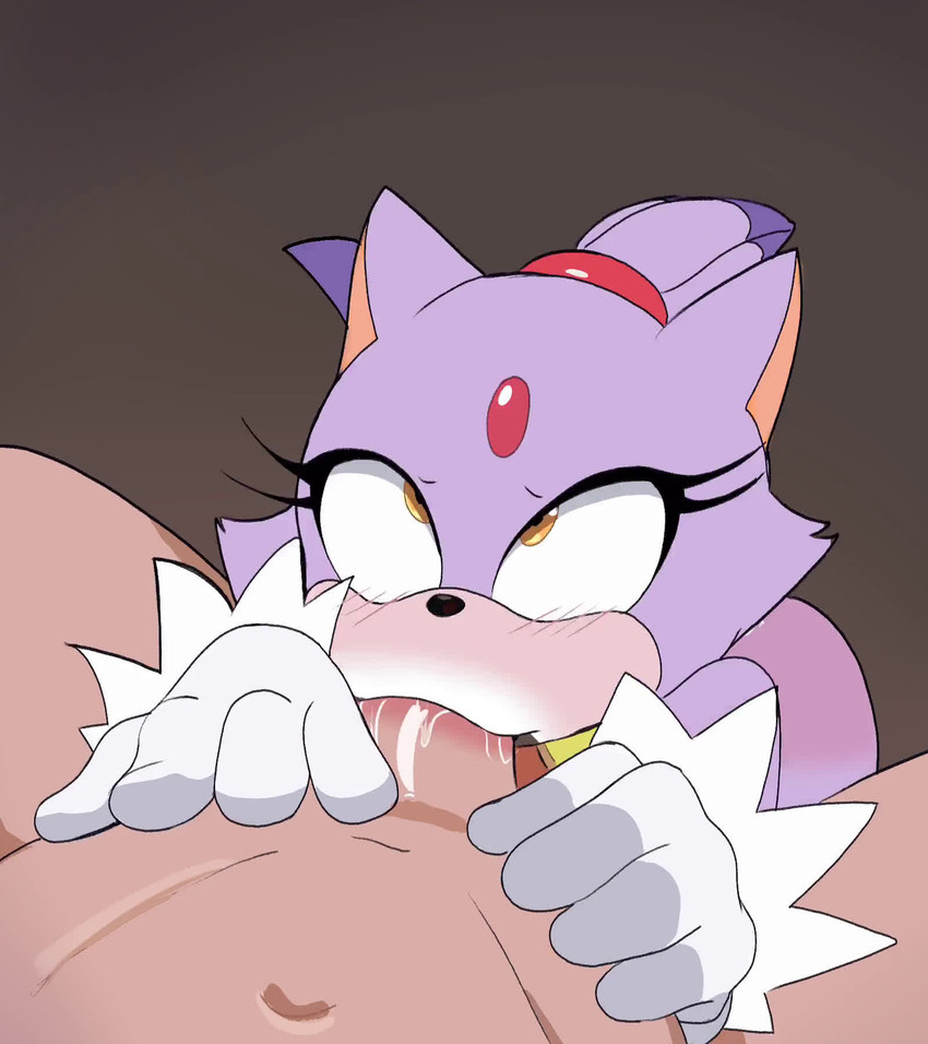 Heated Encounters by hereapathy - page 6 of 7 - Furry Comics, Parody: Sonic the hedgehog