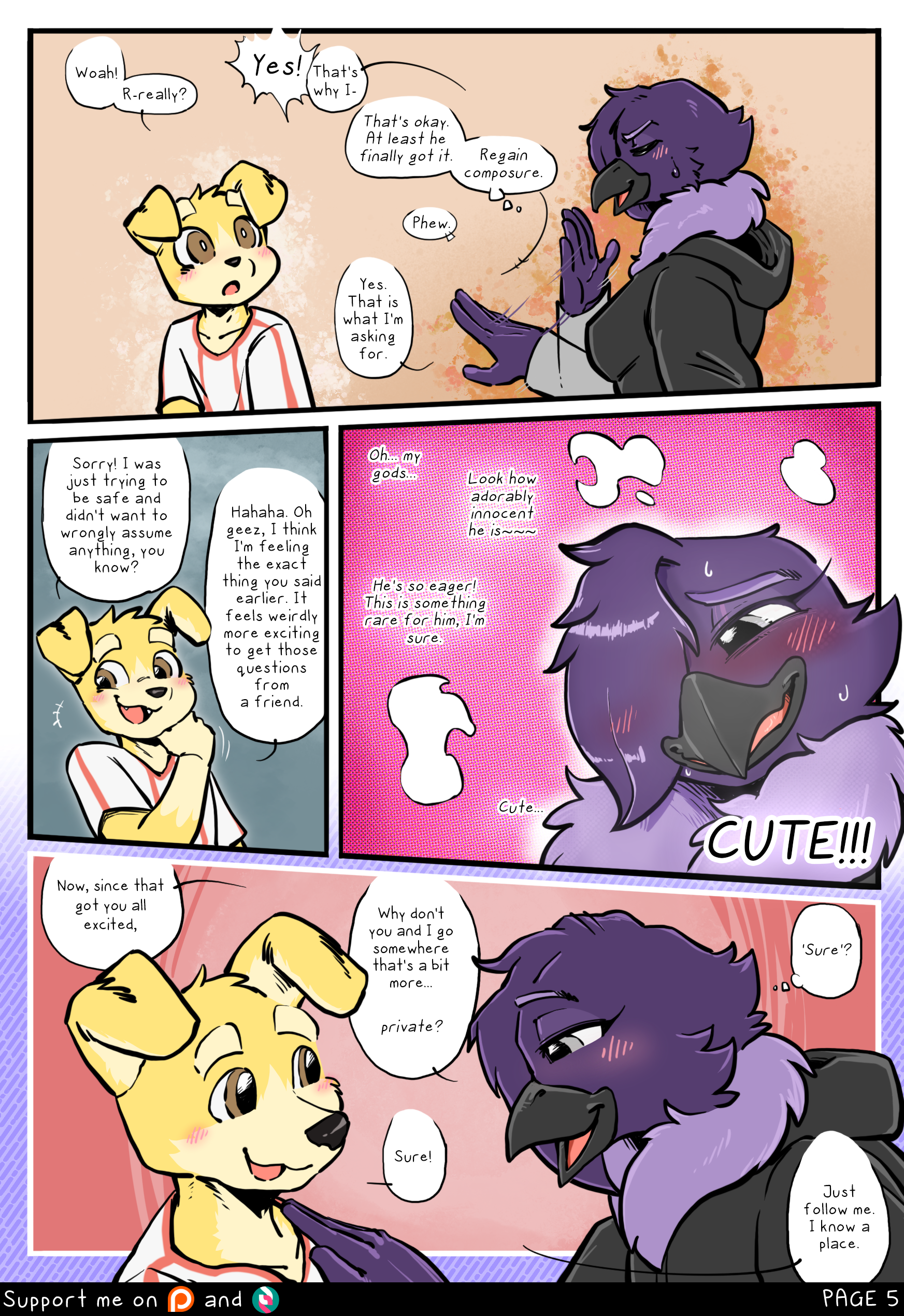 Page 5