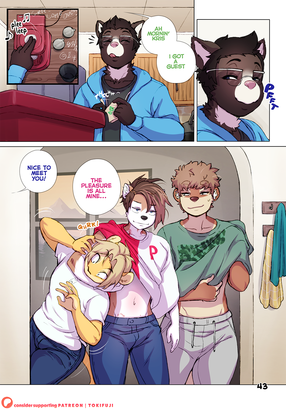 Page 43