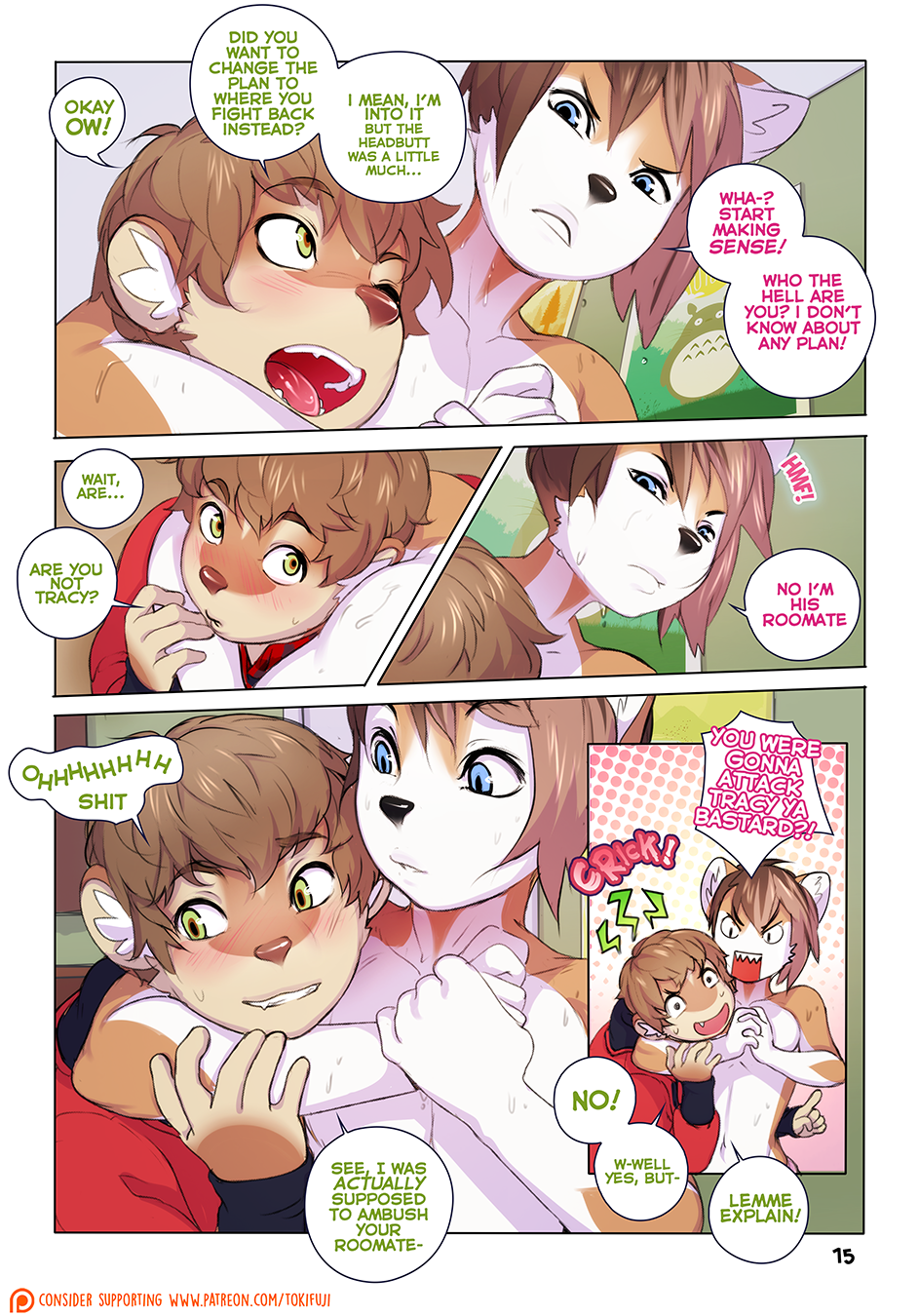 Page 15
