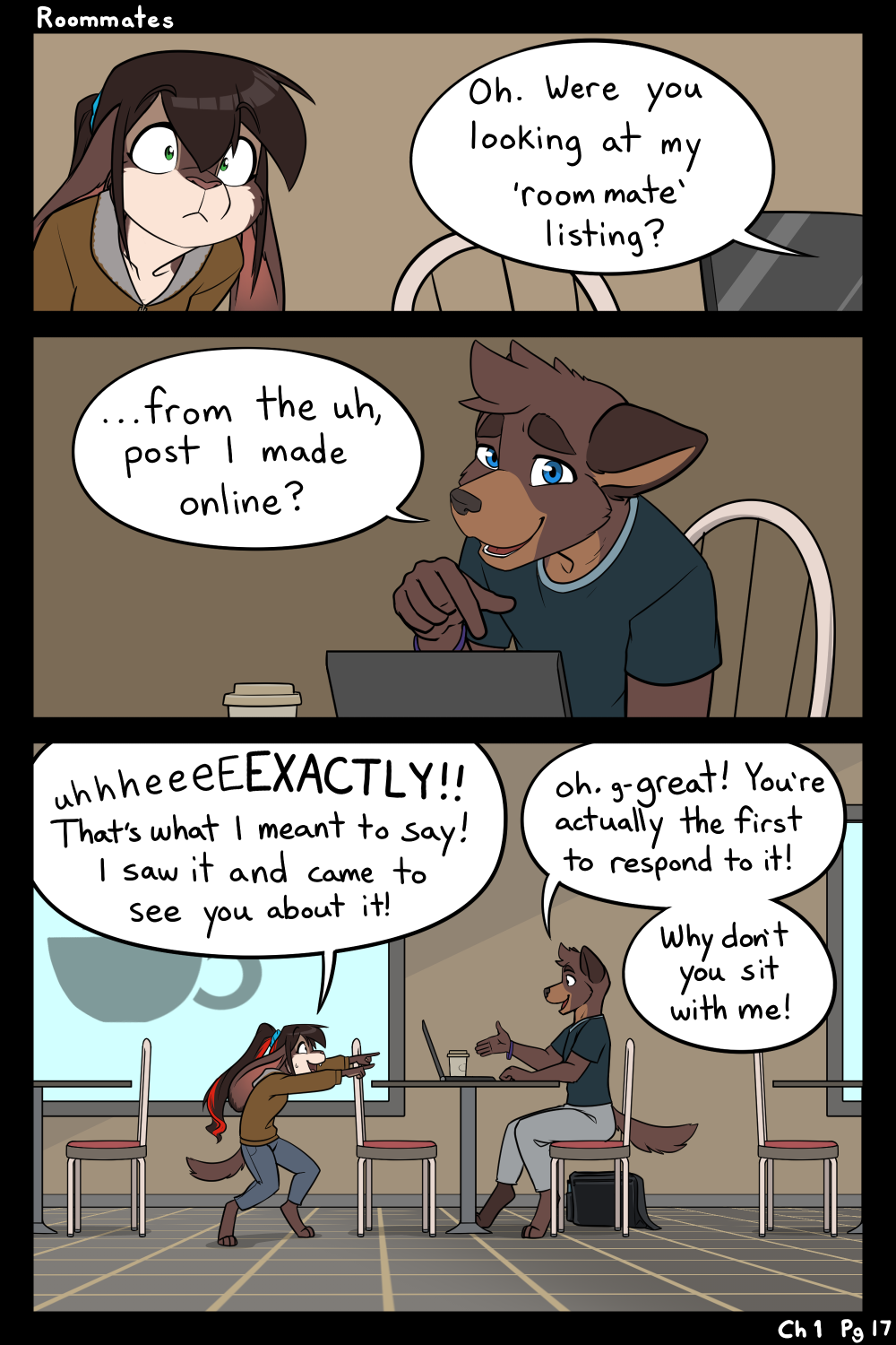 Page 17