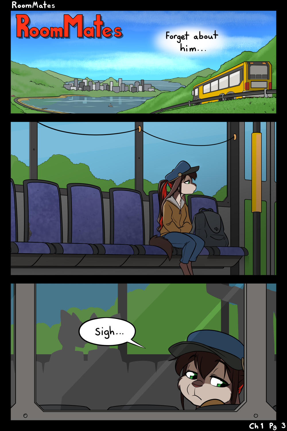 Page 3