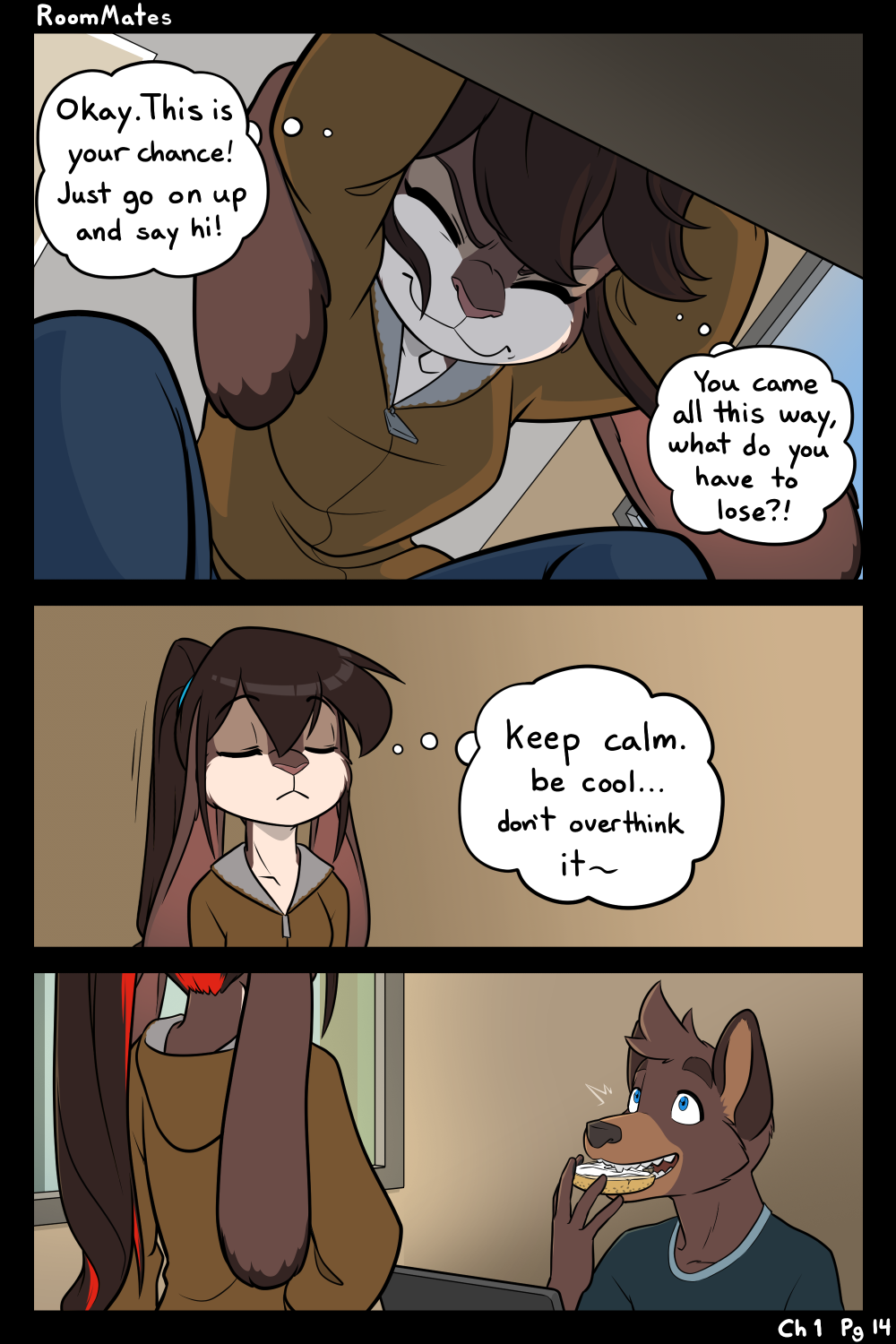 Page 14