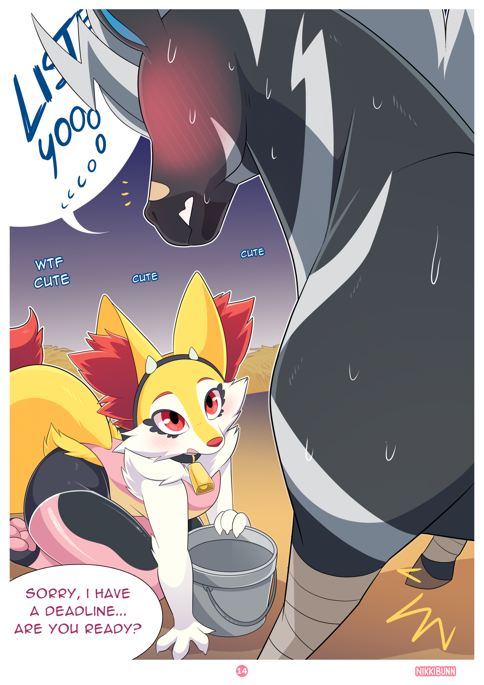 Page 14