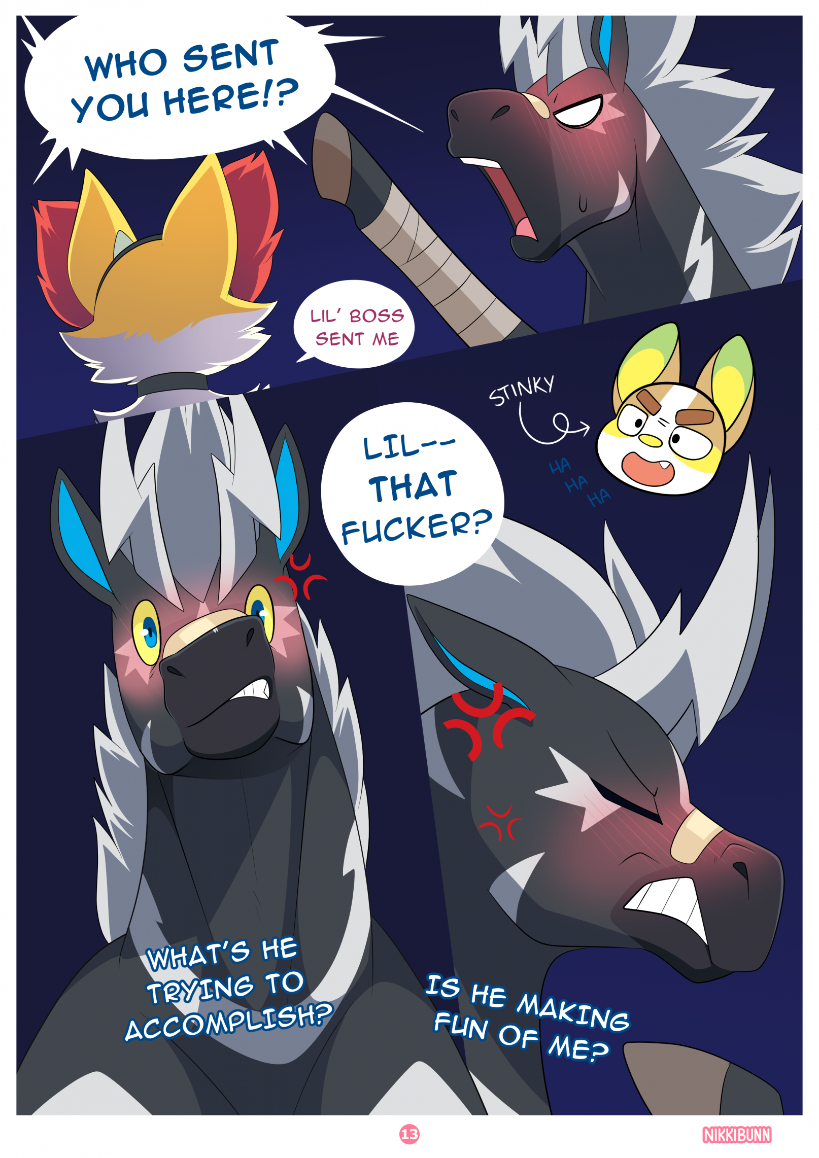 Page 13