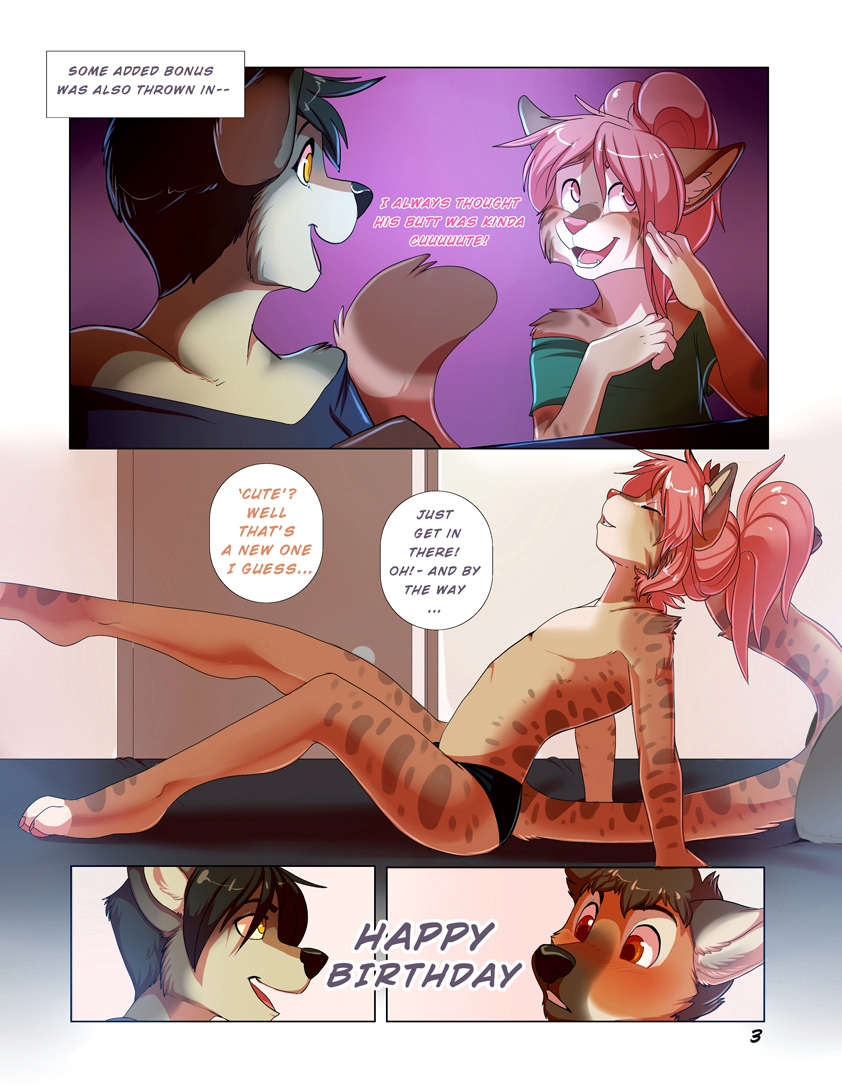 Page 3