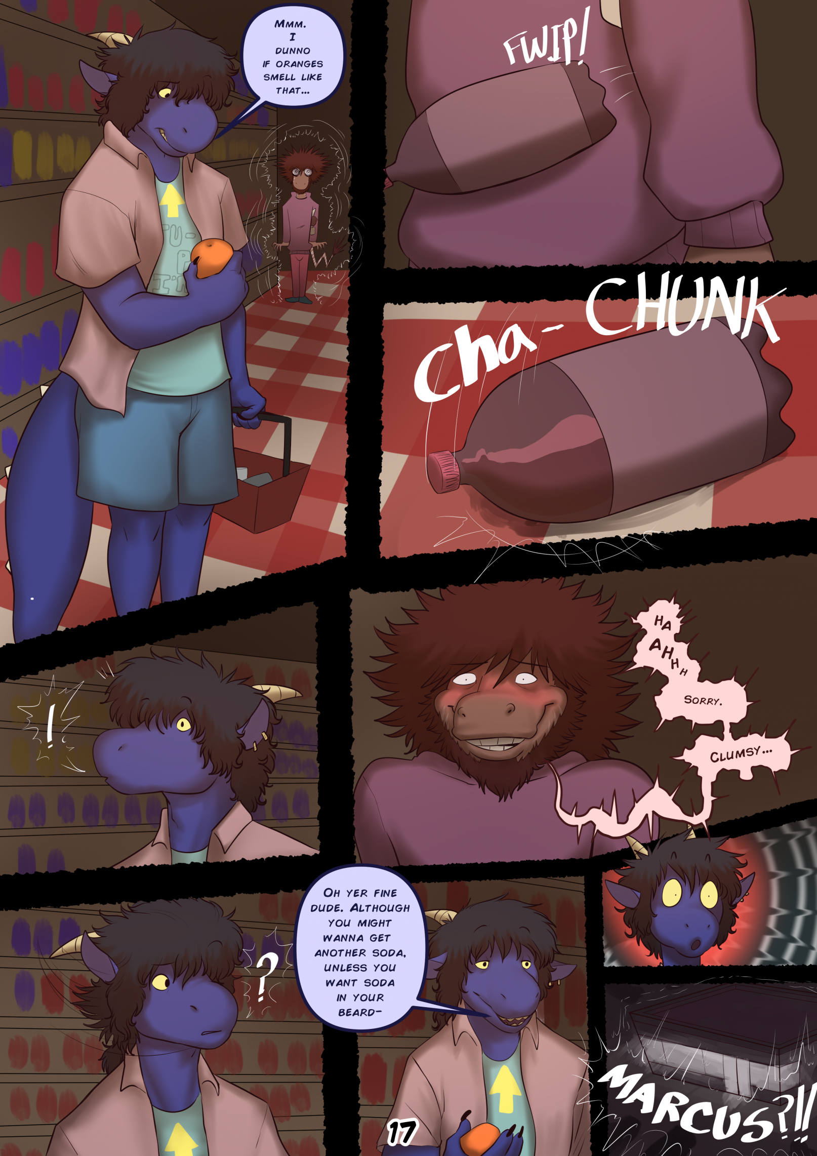 Page 17