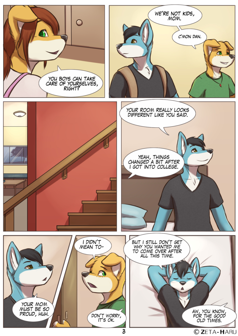 Page 3