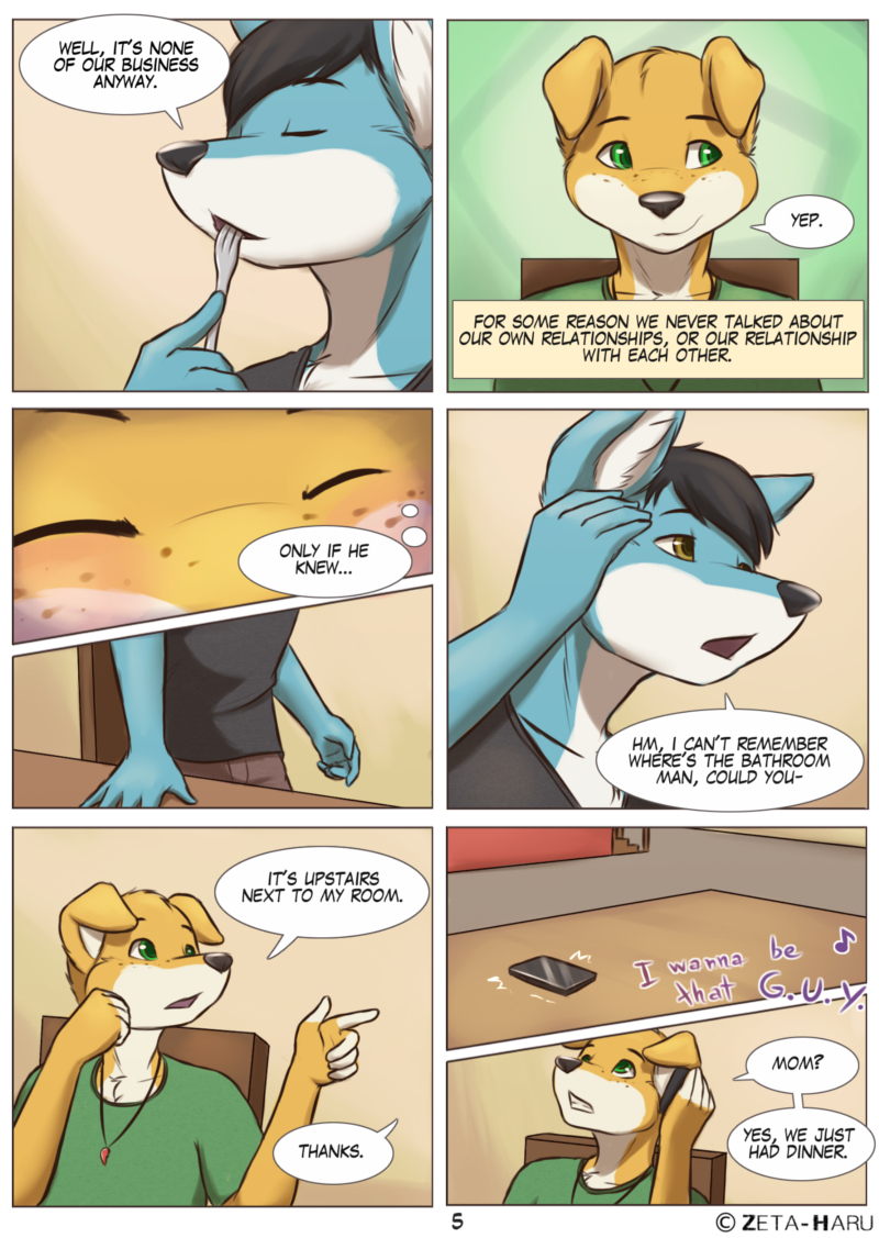 Page 5