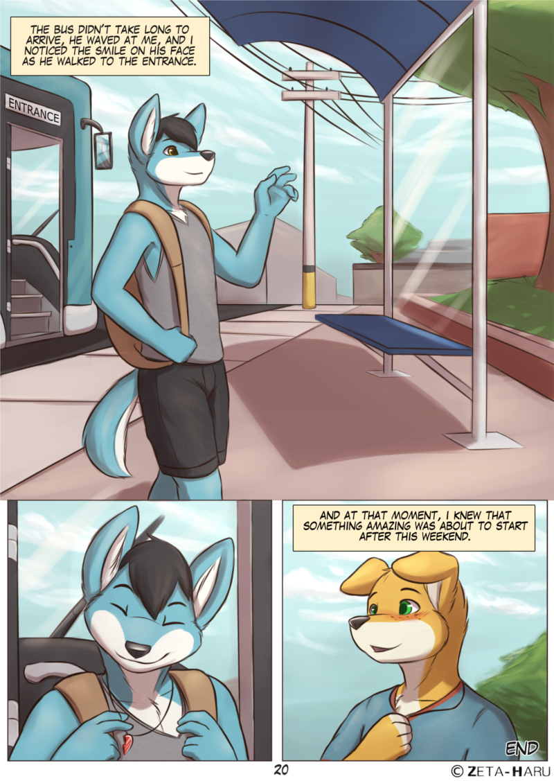 Page 20